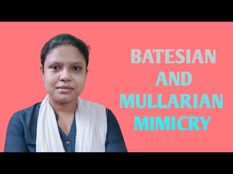 BATESIAN AND MULLARIAN MIMICRY