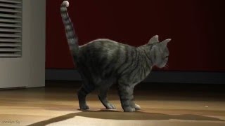 3D cat animation