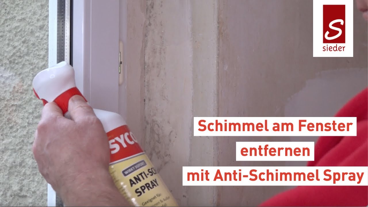 Schimmel am Fenster: Praktische Tipps zur Vermeidung und Beseitigung -  Wohntrends Magazin