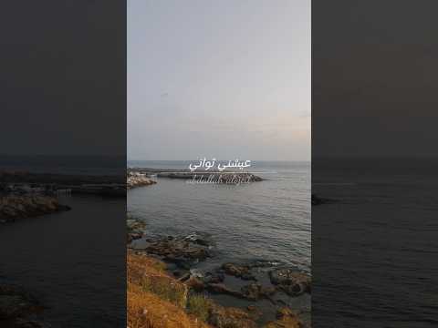 أنا ليك مشتاقة عيشني ثواني اصاله اصالة نصري اكسبلور تريند اشتراك   حالات واتس