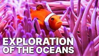 Exploration Of The Oceans | Underwater Mysteries
