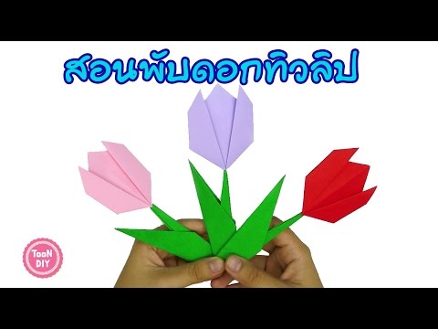 วีดีโอ: วิธีทำดอกทิวลิปจากกระดาษ