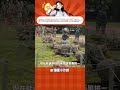 能成为特种兵的人那都是全方位的强啊 #特种兵 #中国军人 #选拔 #万里挑一 #强者