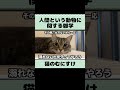 猫から見た人間に関する雑学part6　#shorts