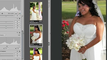 Improving highlights and shadows in Aperture 2.0