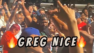 GREG NICE Jumps In The Crowd Performing Live At South Street Seaport NYC "DYWYCK" "HIP HOP JUNKIES"