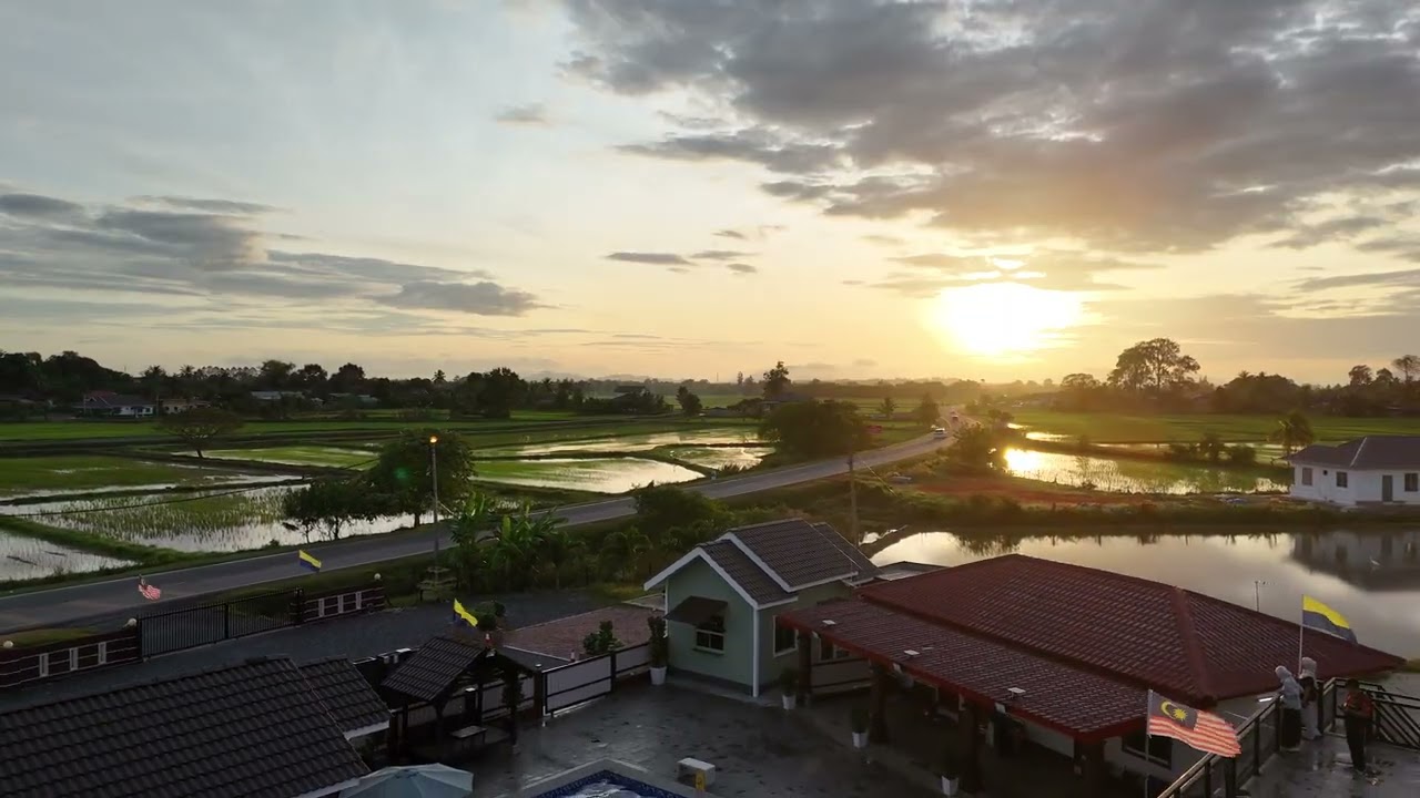 Perlis Sawah padi