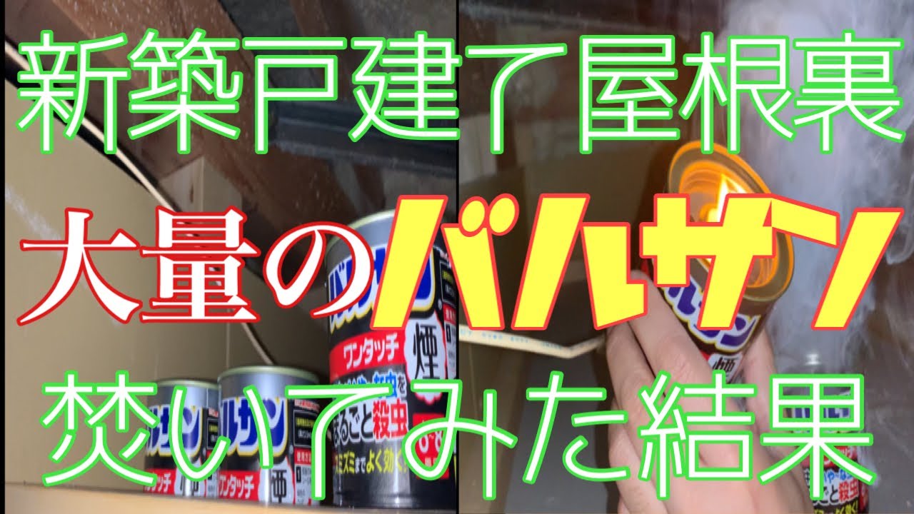 バルサン 使い方 一軒家