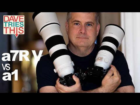 Best Sony Camera: -- A7R V, A1, a7R IV, a7S III???? - FIND OUT WHICH IS RIGHT FOR YOU