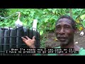 Biogas in St. Vincent and the Grenadines