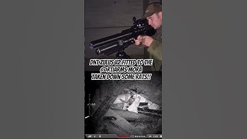 Rat chaos with the @DNTOptics  zulus v2 on the RTI MORA #viral #pestcontrol #nightvision #rat