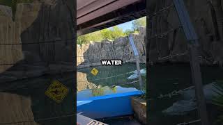 Why Sharks Are Banned From Zoos 🦈 (@gennaroverdicchio)