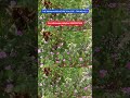The Indian Agriculture College|College Location Tirunelveli#AdmissionOpen#Admission2025#