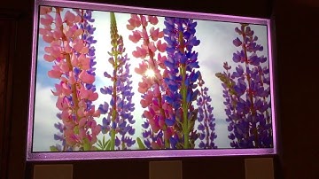 Screen Innovation Zero Edge w/ JVC X590R 4K Demo In Mckinney Texas