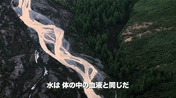 『ダムネーション』映画オリジナル予告編