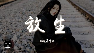 趙乃吉 - 放生不如就分手放我一個人生活請你雙手不要再緊握動態歌詞 Pinyin Lyricspenguin Music