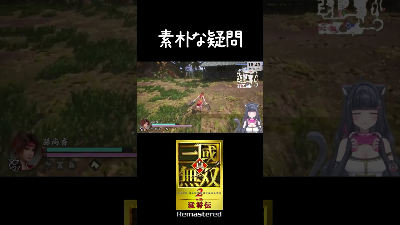 素朴な疑問… #三國無双 #vtuber #三無双2R