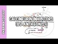 Calcineurin Inhibitors (Tacrolimus and Cyclosporine) IL2 - Mechanism of action, adverse effects