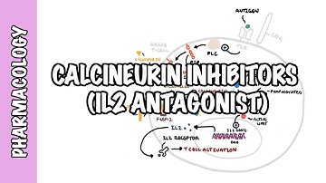 Calcineurin Inhibitors (Tacrolimus and Cyclosporine) IL2 - Mechanism of action, adverse effects