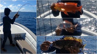 Winter fishing action in Mauritius screenshot 4