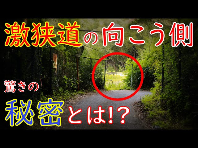 目で見る上州の道 目で見る上州の道 2025年 道の駅 上州おにし -