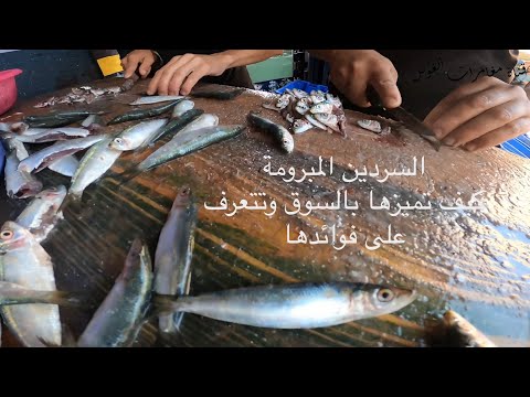 كيف اشتري سمكة السردين المبرومة بشكل صحيح