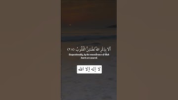 الذين آمنوا وتطمئن قلوبهم بذكرِ الله - تلاوة خاشعة للشيخ بندر بليلة