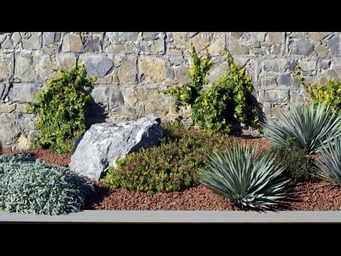 Vídeo: Los Fundamentos De La Jardinería Según Mittlider. Principios Básicos. Pros Y Contras. Foto