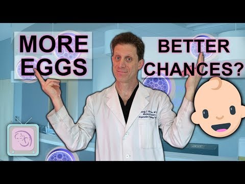 IVF-Tipps | Sind mehr Eier besser für den IVF-Erfolg?