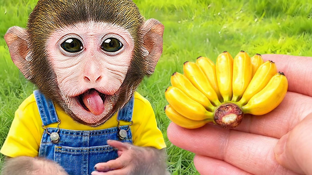 Mono MoMo come Banana y hace Ejercicio con el Mono Bebe 🍌🐒💪 | MONO MOMO ESP