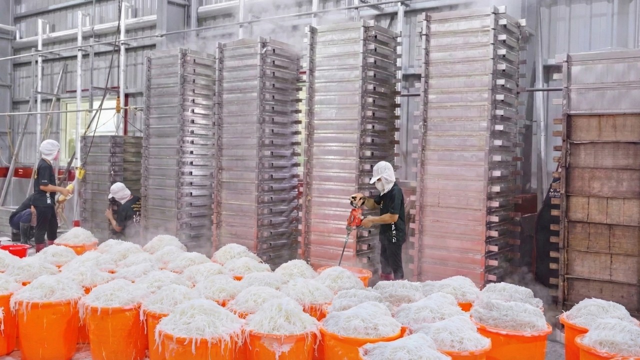 Amazing 6 Traditional Food Collection: Radish Cake, Red Yeast Rice Cake_驚豔的6家台灣傳統美食合集, 蘿蔔糕, 紅麴粿製作