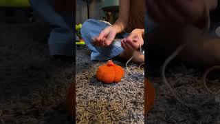 She made a pumpkin toy 🎃 just from her sock!! 🧦