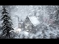 SNOWSTORM near lonely hut at Night. Blowing wind, Howling wind, Cold winter sounds #asmrsounds