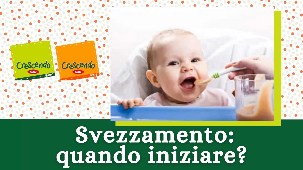 Svezzamento Quando E Come Iniziare Errori Da Non Fare