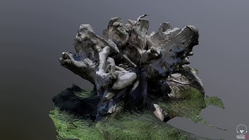 Photogrammetry test of Meshroom #2
