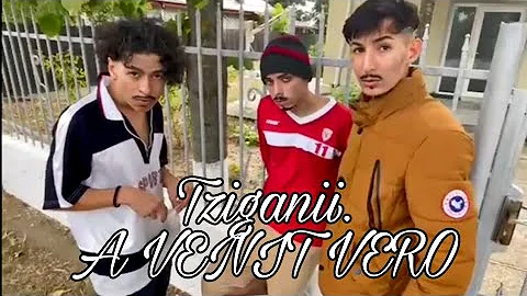 Tziganii. A Venit Vero