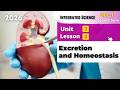 Sec 1 Excretion And Homeostasis Unit 3 Lesson 3 Integrated Sciences