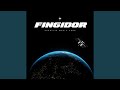 fingidor
