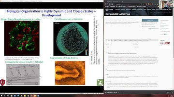 CC3D Workshop Module 1.1: Introduction to Virtual Tissue Modeling in CompuCell3D August 2nd 2021