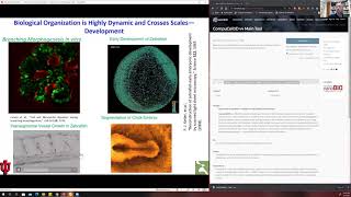 CC3D Workshop Module 1.1: Introduction to Virtual Tissue Modeling in CompuCell3D August 2nd 2021 Profile
