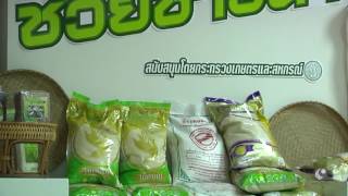 รายการคนไทยหัวใจเกษตร  22 พฤศจิกายน 2559 B3