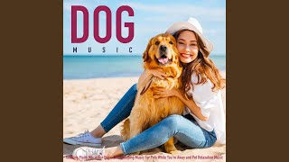 AntiAnxiety Music for Dogs