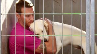 Brandon Rescues an Abandoned Energetic Labrador Retriever | Lucky Dog