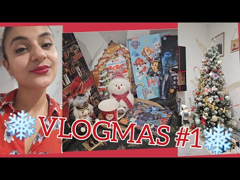 ❄️VlogMas 1❄️ /ჩვენი ნაძვის ხე🎄- სუში🥢