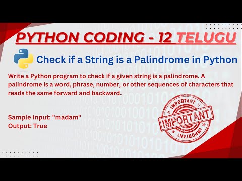 How to Check Palindrome in Python – Don't Miss This Simple Trick!