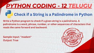 How to Check Palindrome in Python – Don't Miss This Simple Trick!