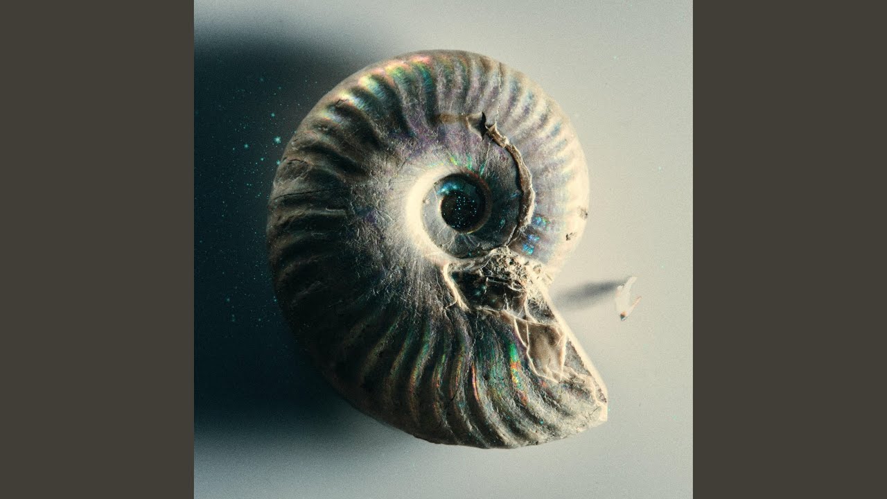 星野 源『好き』が2連覇！ 66ランクアップで4位に輝いたのは、サマソニ