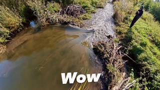 Beaver Dam Removal || Massive Collapse Caught on Drone!