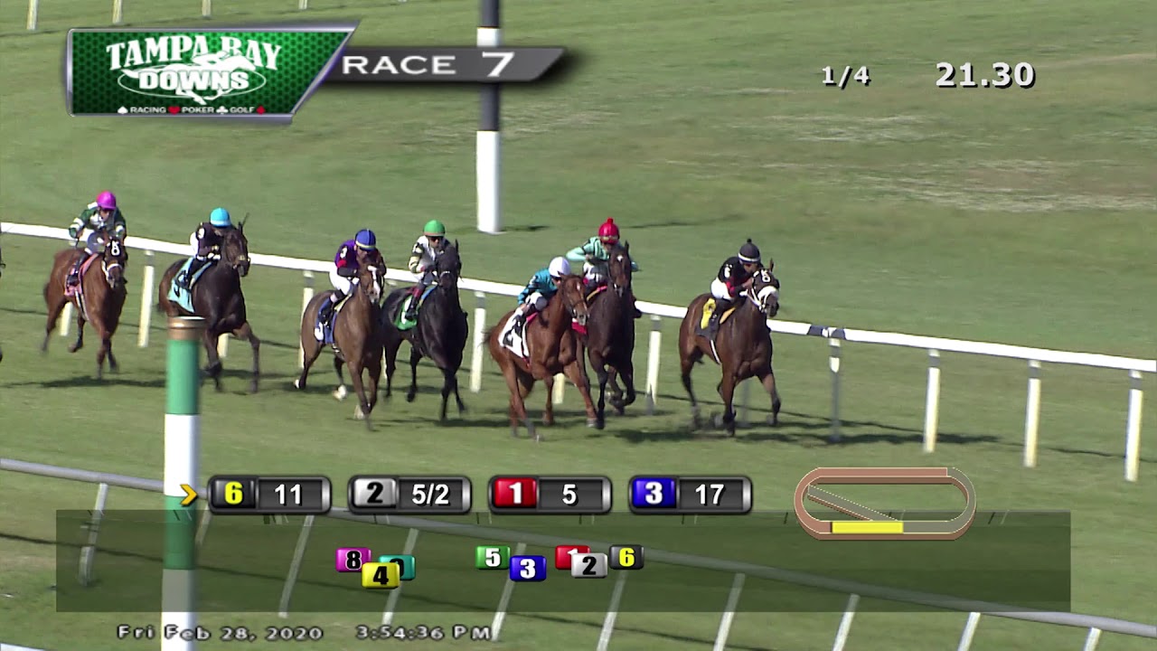 Tampa Bay Downs Replays 2 28 20 Race 7 YouTube