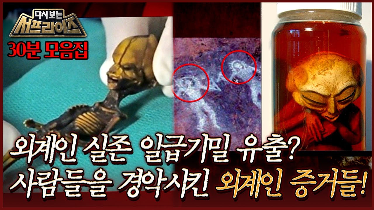 [다시보는 서프라이즈] 과학수사연구소 조사 결과, 외계인 추정? 고대부터 현대까지의 외계인 실존 증거 모음집! MBC130804방송